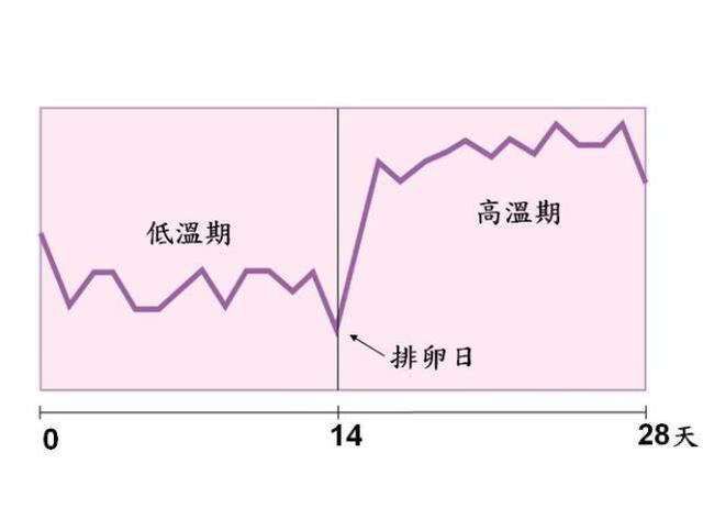 十个月宝宝的正常体温是多少度？全面解析婴儿体温变化与注意事项