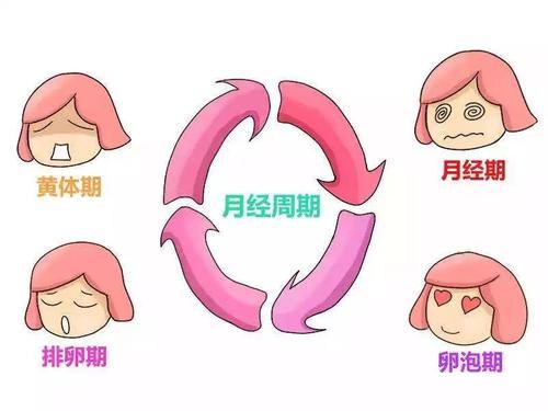 女生一个月没来月经正常吗？解读月经周期与身体变化