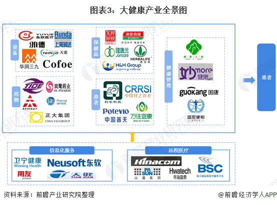 广东省许可管理系统，提升政府管理效率的关键力量