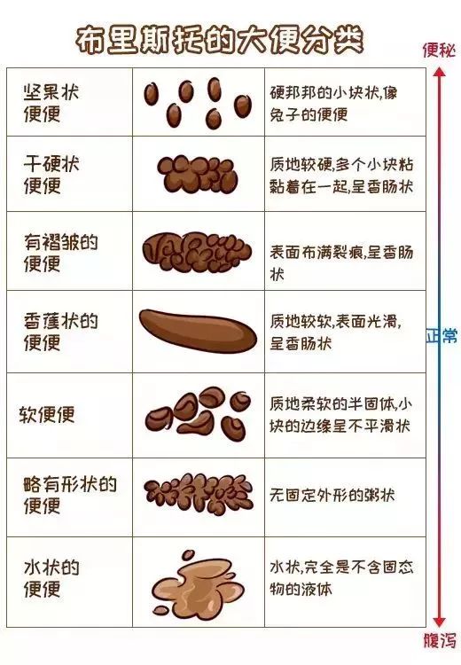 关于两个月宝宝大便稀水样图的分析与解读