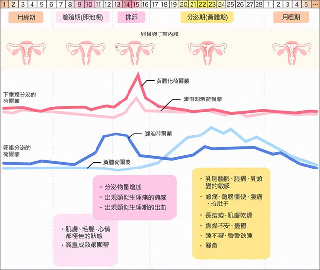 一个月来两次生理期，原因、影响与管理策略